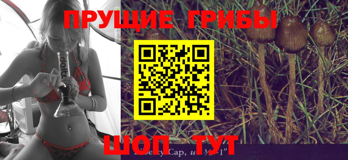 Галлюциногенные грибы Psilocybine cubensis  Вход с VPN  закладка  Печора  Псилоцибиновые грибы MAGIC MUSHROOMS 