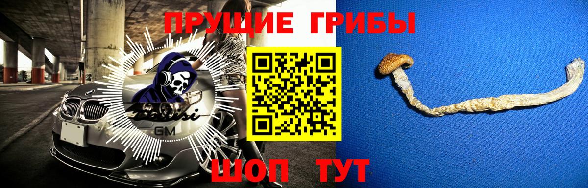 Галлюциногенные грибы Psilocybe Печора
